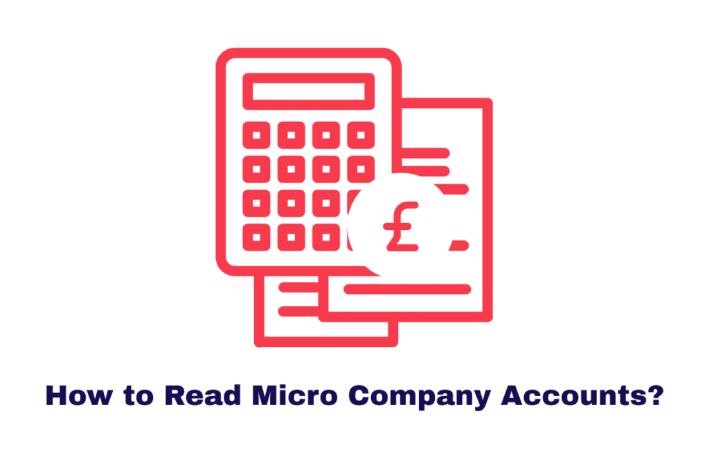 How to Read Micro Company Accounts?