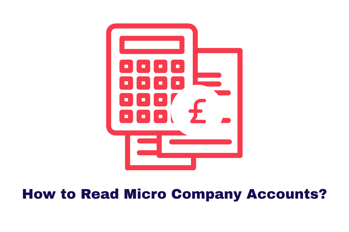 How to Read Micro Company Accounts?