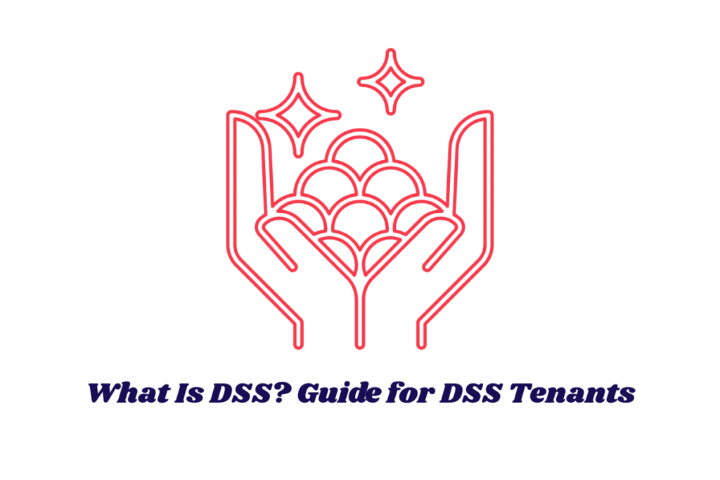 What Is DSS? Guide for DSS Tenants